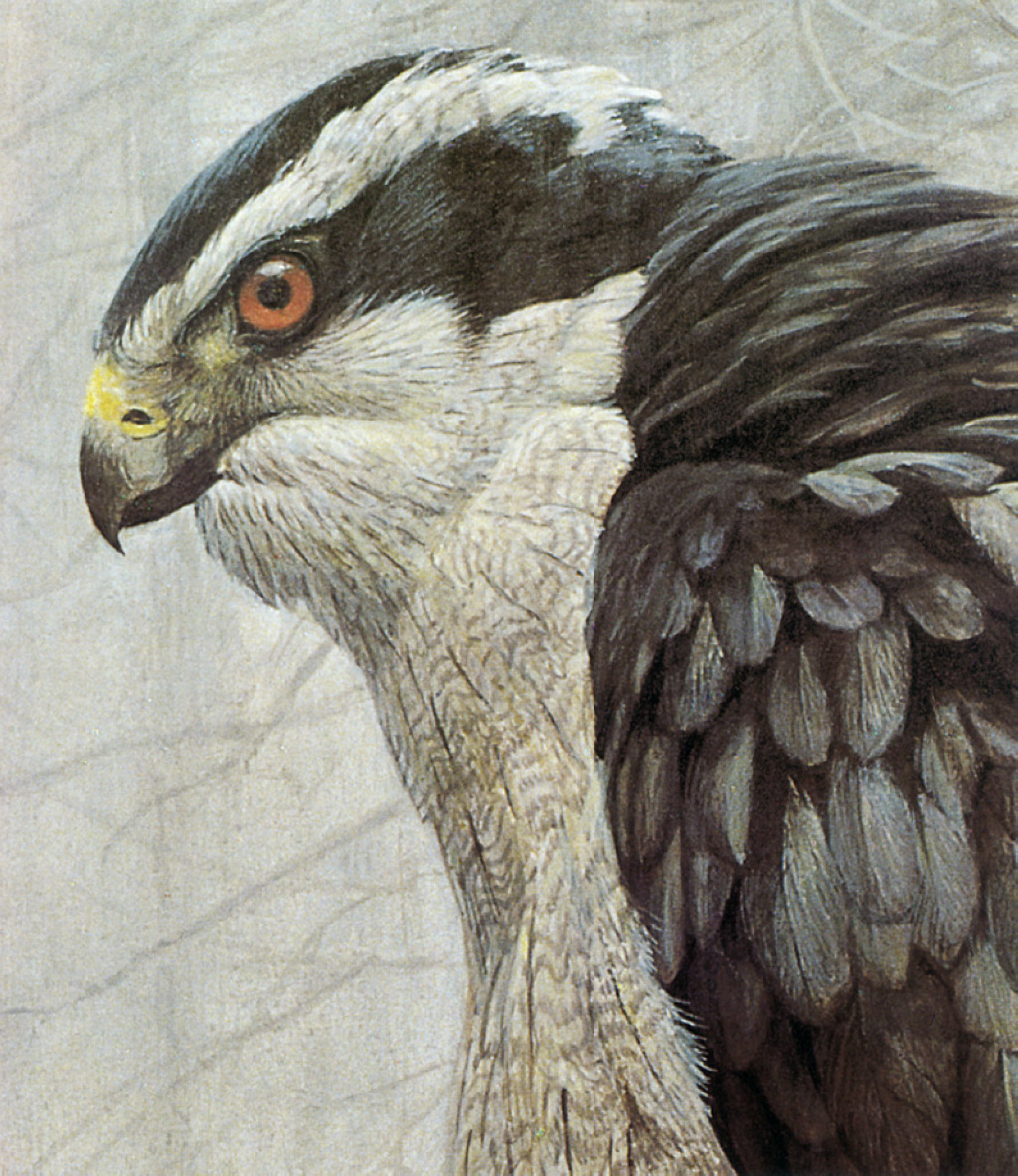 Robert Bateman — канадский художник-анималист.